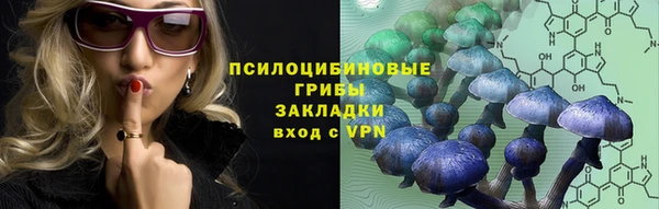 СК Алексин