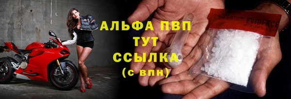сатива Новодвинск