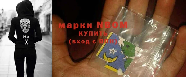 СК Алексин