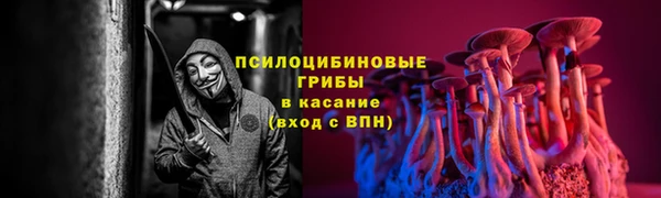 спайс Алексеевка