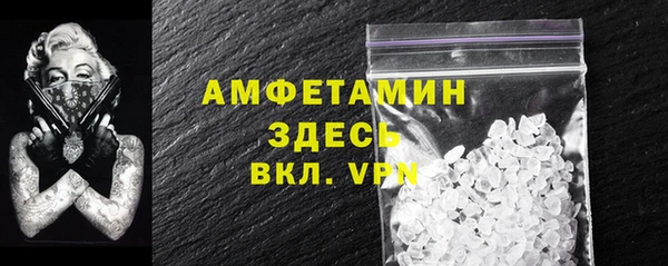 СК Алексин