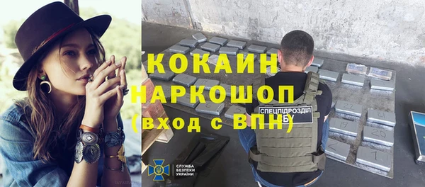 СК Алексин