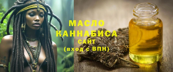 СК Алексин