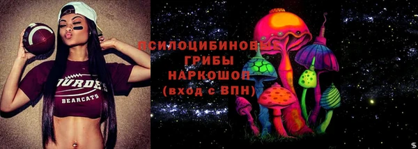 СК Алексин
