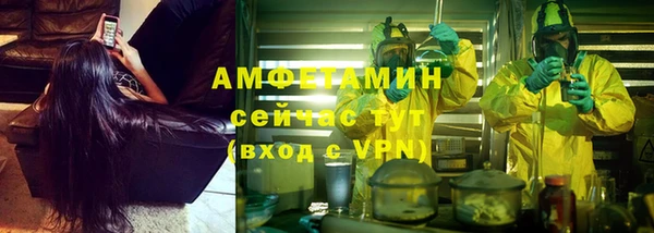СК Алексин