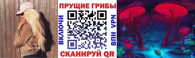 Галлюциногенные грибы MAGIC MUSHROOMS  хочу наркоту  hydra ТОР  Уяр 